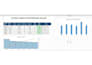 do expert ms word formatting and excel data management